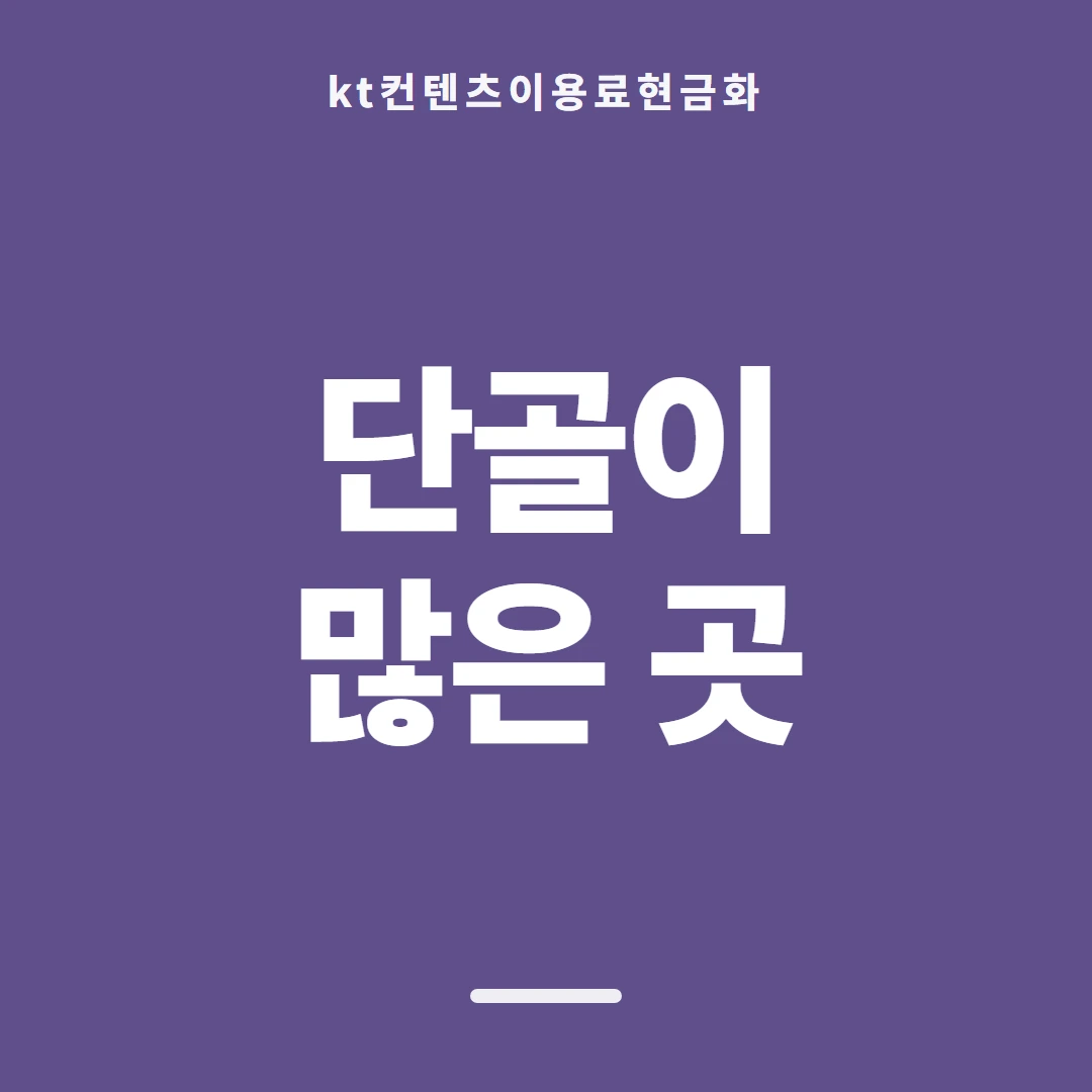 품티켓 KT 콘텐츠이용료 요금 합산 결제 흐름 안내 이미지