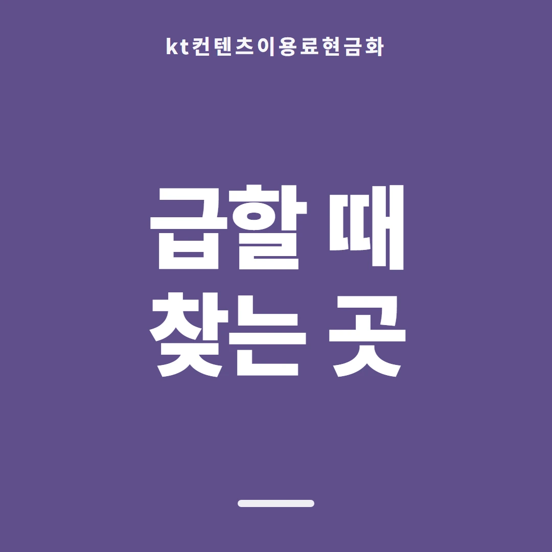 품티켓 KT 콘텐츠이용료 회선별 안내 대조 안내 이미지